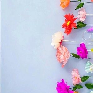 Meet your Posher, Madeline & mary